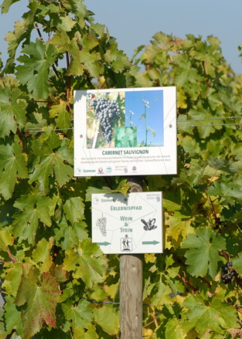 Cabernet Sauvignon ANT 1827